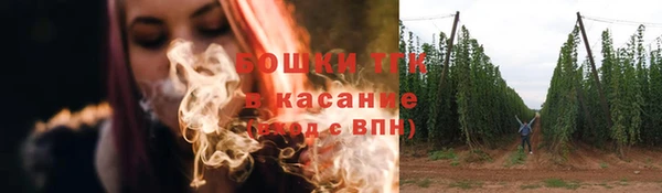 амф Аркадак