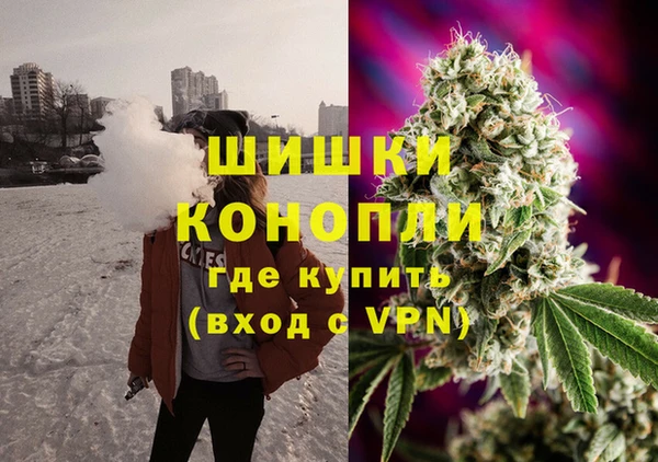 амф Аркадак